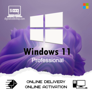 Window 11 Professional Key